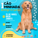 ACIA realiza 1ª Cãominhada no Domingo no Parque